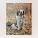 Recherche de st bernard puzzles Chien