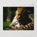 Search for bath horizontal postcards Nature