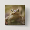 Search for will be toad buttons Wildlife