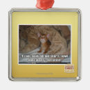Search for bed ornaments I can has cheezburger