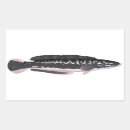 Search for giant stickers Fish