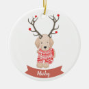 Search for deer antlers ornaments Funny