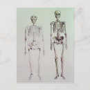 Search for australopithecus Caveman