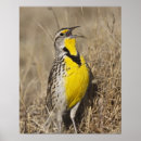 Search for full length posters Yellow