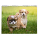 Search for new year calendars Dog