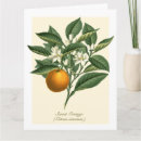 Search for orange fruit cards Floral