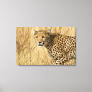 Search for kenya canvas prints Nature