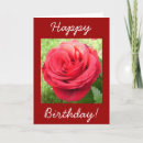 Search for red rose birthday cards Romance
