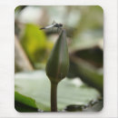 Search for dragonfly mousepads Dragonflies and damselflies