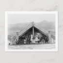Search for maoris postcards Photograph