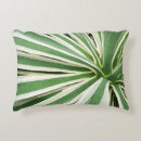 Recherche de agave coussins Vert