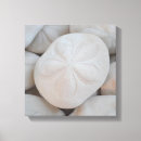 Recherche de sables art Toile