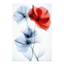 Recherche de translucide posters Nature