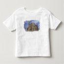 Search for citadel tshirts Egypt