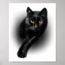 Search for kittens t posters Cute