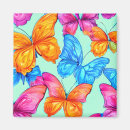 Search for butterfly pattern magnets Patterns