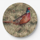 Search for pheasant plates Autumn