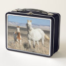 Search for horse lunch boxes Mare