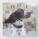 Recherche de animaux mignons horloges Pour tous