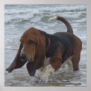 Search for basset hound christmas decor Hounds