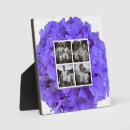 Recherche de lilas plaques Lavande