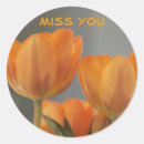 Search for orange tulip stickers Flowers