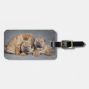 Search for shar pei accessories Animal