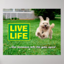 Recherche de courriers posters Chien