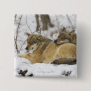 Recherche de froid badges L'allemagne