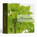 Search for maple leaves binders Trees