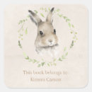 Search for baby seal paper plates Woodland animals