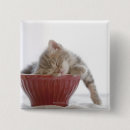 Recherche de pour dormir badges Chats