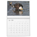 Search for bald eagle calendars Raptor