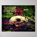 Search for bee balm posters Monarda