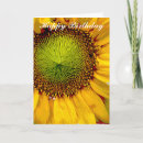 Search for yellow sunflower birthday cards Garden