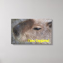 Search for funny animal canvas prints Wild