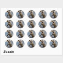 Search for jaw stickers Wildlife