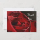 Search for red rose note Pretty