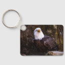 Search for bald eagle keychains Wildlife