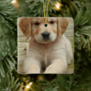 Search for remembrance ornaments Picture