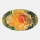 Search for apricot stickers Floral