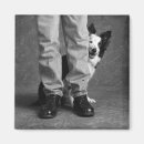 Search for herd dog photography Black and white