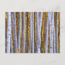 Recherche de rocailleux cartes postales Amérique du nord