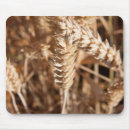 Search for corn field electronics Farm