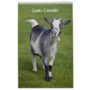 Search for goat calendars Farm