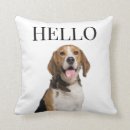 Search for beagle dog pillows Hound