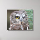 Recherche de hiboux c art Observation des oiseaux