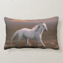 Search for sunset pillows Housewarming
