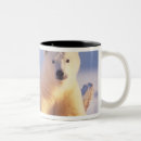 Search for sow mugs Bear