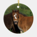 Search for miniature horse ornaments Foals
